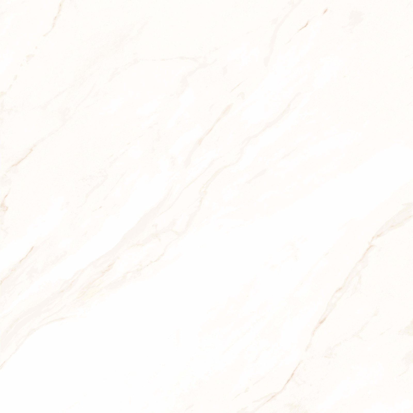 PLATINUM 50X50 HARVARD BROWN